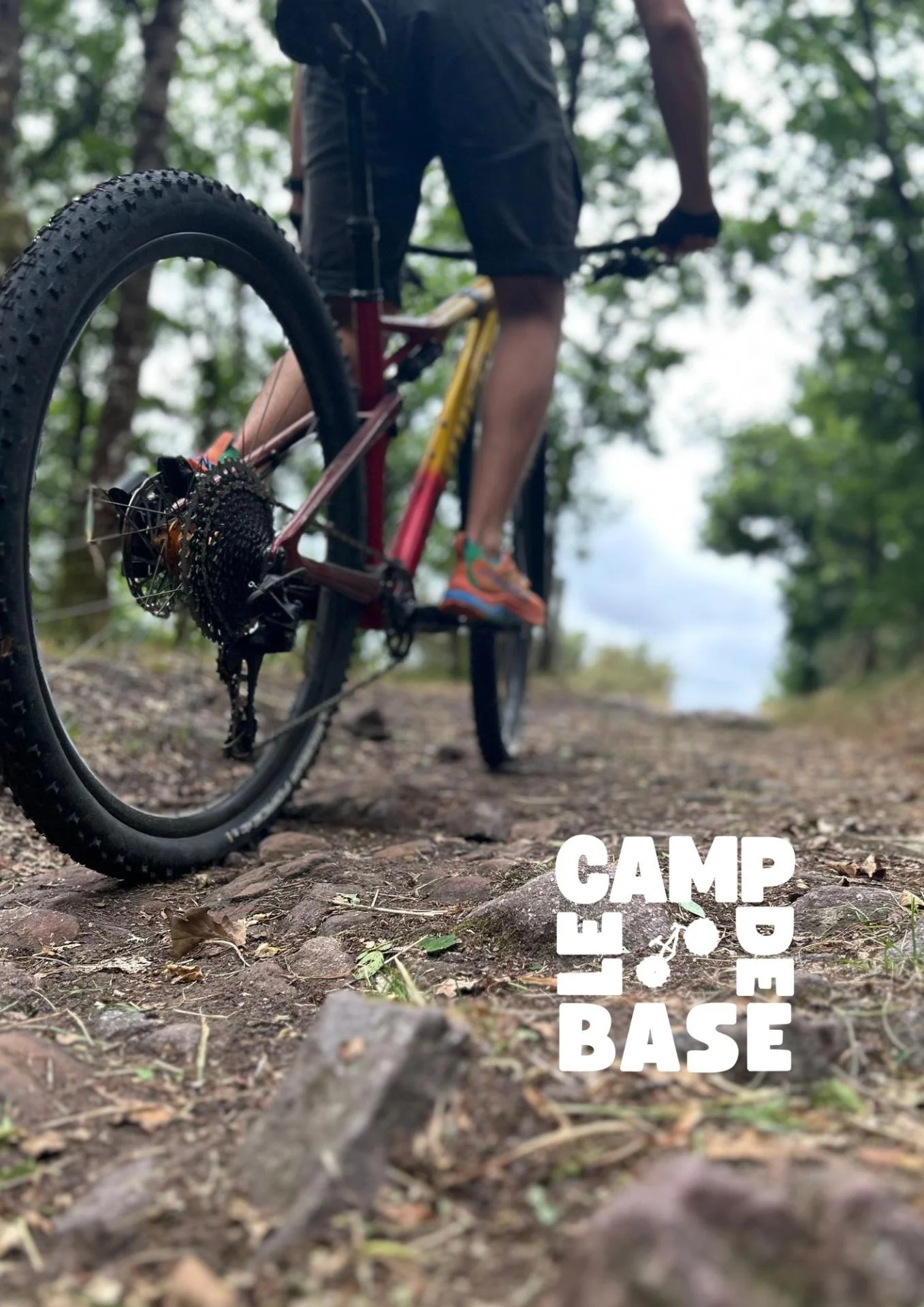 VTT